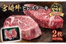 宮崎牛 ヒレステーキ2枚  A４～A5等級 内閣総理大臣賞4連覇＜2.2-12＞赤身 ステーキ  