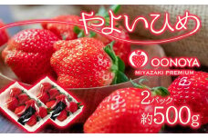 苺大野屋 やよいひめ 厳選いちご 250g×2パック 500g 宮崎県西都市 ＜1-294＞【先行予約】★