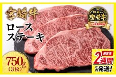 【最速便】宮崎牛ロースステーキ3枚 （250g×3枚）牛肉 ステーキ 高級部位 ブランド牛 ミヤチク 内閣総理大臣賞4連覇＜2.5-7＞【10月1日より寄附金額見直し】