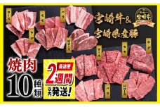 【最速便】宮崎牛＆宮崎県産豚肉 焼肉10種盛り 食べ比べセット計600g 宮崎牛 A4～A5等級 国産牛 豚肉  ブランド牛 ミヤチク 内閣総理大臣賞4連覇＜1.2-68＞●【10月1日より寄附金額見直し】