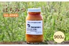 はちみつ 日本蜜蜂の蜂蜜 900ml ハチミツ 蜂蜜 非加熱 ミツバチ 百花蜜 天然 100％ 国産 宮崎 パン トースト ヨーグルト 送料無料