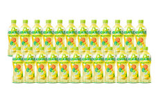 【3回定期便】 アクエリアス 1日分のマルチビタミン PET (500ml×24本)×1ケース【コカコーラ】水分補給 熱中症対策 部活 少年団 運動
