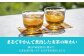 【2回定期便】やかんの麦茶 from 爽健美茶 PET 2L×6本×2ケース×2回 麦茶 飲料 ペットボトル カフェインゼロ