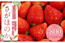 【2025年2月発送開始予定】さがほのか 約800g (約400g×2パック) いちご イチゴ 苺 フルーツ くだもの 果物 九州 宮崎 送料無料
