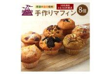 【3回定期便(2・6・10月発送)】マフィン 8個セット