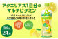 【3回定期便】 アクエリアス 1日分のマルチビタミン PET (500ml×24本)×1ケース