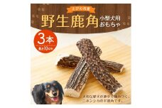 野生鹿角 3本 長さ10cm 幅2～3cm程度 小型犬用 おもちゃ 犬用 鹿の角 半割角 犬 ガム 骨 デンタルケア 宮崎県産 送料無料