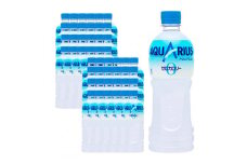 【3回定期便】アクエリアス ゼロ PET 500ml×24本×3回 合計72本 3ヶ月【コカコーラ】 水分補給 スポーツ飲料 清涼飲料水 常温 AQUARIUS コカ・コーラ 熱中症対策 送料無料 部活 少年団