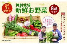 【3回定期便】特別栽培季節のお野菜セット 8品 野菜 新鮮 やさい 旬 詰合せ 国産 宮崎県 九州 送料無料
