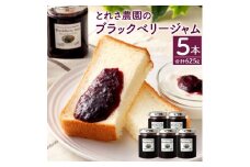 ブラックベリー ジャム 5本セット 125g×5本 合計625g フルーツ 果物 瓶 加工品 手作り 紅茶 お茶 茶 朝食 モーニング パン トースト ブレッド ヨーグルト 宮崎県 九州 送料無料
