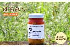 はちみつ 日本蜜蜂の蜂蜜 225ml ハチミツ 蜂蜜 非加熱 ミツバチ 百花蜜 天然 100％ 国産 宮崎 パン トースト ヨーグルト 送料無料