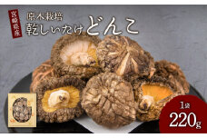 しいたけ 原木栽培 乾しいたけ どんこ 220g 直径約7cm以上 贈答用 化粧箱入り ギフト 包装配送 のし対応可 椎茸 乾燥 干し シイタケ きのこ 国産 九州産 宮崎県 送料無料
