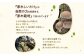 原木栽培 乾しいたけ どんこ 220g 直径約7cm以上 贈答用 化粧箱入り