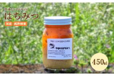 はちみつ 日本蜜蜂の蜂蜜 450ml ハチミツ 蜂蜜 非加熱 ミツバチ 百花蜜 天然 100％ 国産 宮崎 パン トースト ヨーグルト 送料無料
