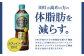 【3回定期便】やかんの濃麦茶 from 爽健美茶 600ml PET×24本（１ケース）合計72本