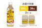 ジョージア 贅沢ミルクコーヒー 500mlPET×24本入 2ケース