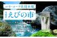 綾鷹 茶葉のあまみ 2L PET【コカ・コーラ】ペットボトル