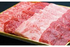 【2025年9月発送】宮崎牛 切り落とし 霜降り ＆ 赤身 焼肉セット 700g カルビ モモ ウデ 赤身 国産牛 牛肉 お肉 冷凍 焼肉 焼き肉 BBQ バーベキュー 鉄板 ホットプレート ギフト 贈答用 贈り物 特別な日 誕生日 宮崎県 九州 送料無料 日本一 祝！宮崎牛は、史上初和牛オリンピック４大会連続内閣総理大臣賞受賞！ 