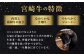 宮崎牛霜降り&赤身焼肉セット700g