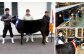 宮崎牛霜降り&赤身焼肉セット700g