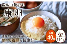 【2025年9月発送】卵 霧島山麓育ち こだわり卵 康卵 計40個（36個 + 割れ保証4個）たまご 玉子 卵焼き 玉子焼き たまご焼き 生卵 鶏卵 たまごかけごはん 国産 九州産 宮崎県産 送料無料