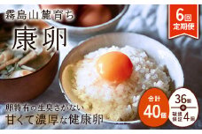 【2025年9月発送開始】卵【6回定期便】霧島山麓育ち こだわり卵 康卵 計40個（36個 + 割れ保証4個） 6回 計 240個(216個 + 割れ保証 24個)たまご 玉子 卵焼き 玉子焼き たまご焼き 生卵 鶏卵 たまごかけごはん 国産 九州産 宮崎県産 送料無料