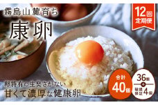 【2025年9月発送開始】卵【12回定期便】霧島山麓育ち こだわり卵 康卵 計40個（36個 + 割れ保証4個）12回 計 480個(432個 + 割れ保証 48個)たまご 玉子 卵焼き 玉子焼き たまご焼き 生卵 鶏卵 たまごかけごはん 国産 九州産 宮崎県産 送料無料