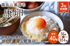 【2025年9月発送開始】卵【3回定期便】霧島山麓育ち こだわり卵 康卵 計40個（36個 + 割れ保証4個）3回 計 120個(108個 + 割れ保証 12個)たまご 玉子 卵焼き 玉子焼き たまご焼き 生卵 鶏卵 たまごかけごはん 国産 九州産 宮崎県産 送料無料