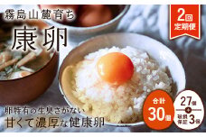 【2025年9月発送開始】卵【2回定期便】霧島山麓育ち こだわり卵 康卵 計 30個（27個 + 割れ保証 3個）2回 計 60個（54個 + 割れ保証 6個）たまご 玉子 卵焼き 玉子焼き たまご焼き 生卵 鶏卵 たまごかけごはん 国産 九州産 宮崎県産 送料無料