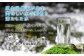 【本数/発送回数 選べる】水 いろはす 天然水 540ml