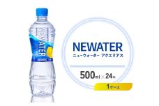 アクエリアス ニューウォーター 500ml PET【コカ・コーラ】ペットボトル 1ケース(24本) スポーツドリンク スポドリ カロリーゼロ 熱中症対策 水分補給 清涼飲料水 宮崎県 えびの市 送料無料