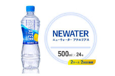 【2回定期便】アクエリアス ニューウォーター 500ml PET【コカ・コーラ】ペットボトル 2ケース(48本) 定期便 2回(96本) スポーツドリンク スポドリ カロリーゼロ 熱中症対策 水分補給 清涼飲料水 宮崎県 えびの市 送料無料