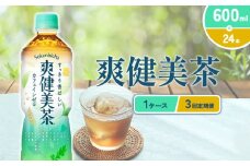 爽健美茶 600ml PET【コカ・コーラ】ペットボトル 1ケース(24本) 定期便 3回(72本) セット お茶 カフェインゼロ ノンカフェイン ハトムギ ブレンド茶 宮崎県 えびの市 送料無料
