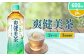 【本数/発送回数 選べる】爽健美茶 600ml PET