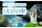 【本数/発送回数 選べる】綾鷹 濃い緑茶650PET