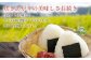 えびの産 ひのひかり 3kg