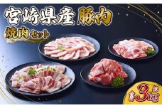 【2026年2月発送】豚肉 宮崎県産 いもこ豚 焼肉 セット 3kg  切り落とし 小分け 豚 豚バラ バラ ロース 肩ロース スライス 小間切れ 焼肉用 焼き肉 BBQ 鉄板焼き 豚丼 国産 九州産 宮崎 ブランド 冷凍 送料無料