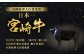 宮崎牛霜降り&赤身焼肉セット700g