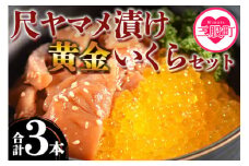 ＜幻の尺ヤマメ漬け黄金イクラセット＞(合計3本) 幻の尺ヤマメ漬け(約70g×2本)、黄金イクラ(約80g×１) 国産 九州産 宮崎 いくら 魚卵 ヤマメ ヤマメ漬け 詰め合わせ 敬老の日 ギフト のし対応可能 贈答用 贈り物 冷凍食品【A-0201-sk】【有限会社しゃくなげの森】