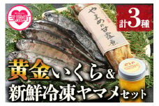 ＜黄金イクラと新鮮冷凍ヤマメセット＞(3種)黄金イクラやヤマメを詰め合わせ！国産 九州産 宮崎 いくら 魚卵 やまめ 甘露煮 水産物 詰め合わせ 敬老の日 ギフト のし対応可能 贈答用 贈り物 プレゼント 感謝 孫【A-0202-sk】【有限会社しゃくなげの森】
