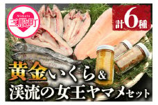 ＜黄金イクラと渓流の女王ヤマメ逸品セット＞(6種)黄金イクラやヤマメなどを詰め合せ！国産 九州産 宮崎 いくら 魚卵 やまめ 一夜干し やまめ漬け フィレ うるか おかず 水産物 詰め合わせ 敬老の日 ギフト のし【B-0204-sk】【有限会社しゃくなげの森】