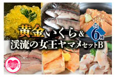 ＜黄金イクラと渓流の女王ヤマメ逸品セットB＞(6種)黄金イクラやヤマメなどを詰め合せ！国産 九州産 宮崎 いくら 魚卵 やまめ 一夜干し やまめ漬け フィレ スモーク マリネ おかず 水産物 詰め合わせ【B-0206-sk】【有限会社しゃくなげの森】