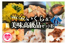 ＜黄金イクラと美味高級品セットB＞(6種)黄金イクラやヤマメなどを詰め合せ！国産 九州産 宮崎 いくら 魚卵 やまめ 甘露煮 こんぶ フィレ スモーク マリネ 味噌 みそ おかず 水産物 詰め合わせ【B-0207-sk】【有限会社しゃくなげの森】