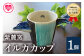 イルカカップ(1個)