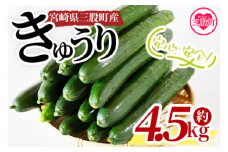 ＜【先行予約】【期間限定】パリッと甘い魔法のきゅうり マジキュー4.5kg＞(約4.5kg)パリッと甘い魔法のキュウリ「マジキュー」漬物や天ぷらに！【A-1901-yt】【ゆたか農園】