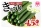宮崎県産きゅうり(約4.5kg)