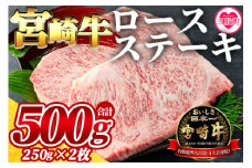 ＜宮崎牛ロースステーキ 2枚（総量500g）＞ 牛肉 おすすめ 国産牛肉 和牛 ブランド牛 人気 コスパ ステーキ 宮崎県産黒毛和牛 A4等級 霜降り 焼肉 お取り寄せ 冷凍食品【MI058-my】【ミヤチク】