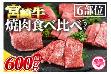 ＜3D冷凍宮崎牛焼肉食べ比べセット＞(合計600g)肩ロース、バラ、モモ、ウデ、ロース、ヒレ各100gずつ！冷凍食品 宮崎県産黒毛和牛 A4等級 霜降り 牛肉【MI089-my】【ミヤチク】