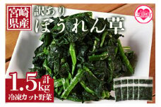 ＜【訳あり】冷凍ホウレンソウ 工場直送簡易包装 小分けパック150g×10袋＞冷凍野菜 カット野菜 小分け ホウレンソウ ストック 冷凍食品 時短 国産九州産 簡単 料理 調理 アレンジ 夕食 和食 和え物 お弁当 おかず 副菜 ほうれん草 【MI103-bk】【ベーカリー梅茂登】