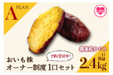 【期間限定】【先行予約】＜【Ａ】おいも株オーナー制度1口セット2株 霧島紅かぐら（最低2.4kg保証）＞12月中旬頃に熟成されたさつまいもをお届け！きりしまべにかぐら サツマイモ 芋 権利書 チケット 体験 苗植会 収穫祭【MI106-sh-s】【株式会社育みの里しろはと】